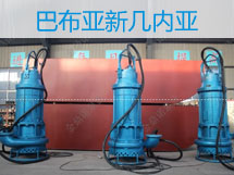 110千瓦潛水抽砂泵，漂洋過海到巴新